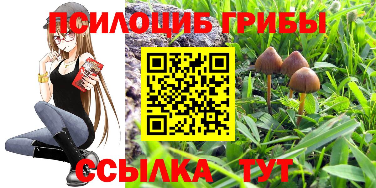 Заводоуковск  Галлюциногенные грибы прущие грибы  Псилоцибиновые грибы GOLDEN TEACHER  закладки  Вход с VPN 