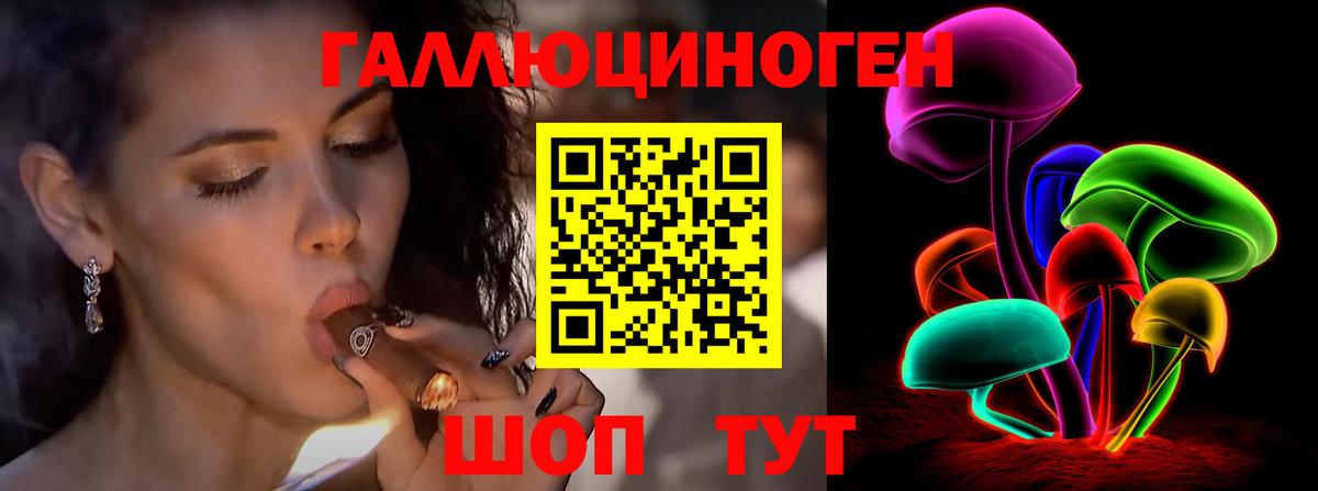 Галлюциногенные грибы Psilocybine cubensis Заводоуковск