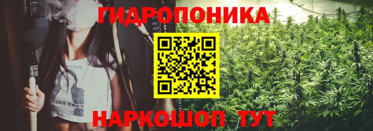 МАРИХУАНА индика  Вход с VPN  Заводоуковск  Бошки марихуана ГИДРОПОН  Марихуана VHQ 